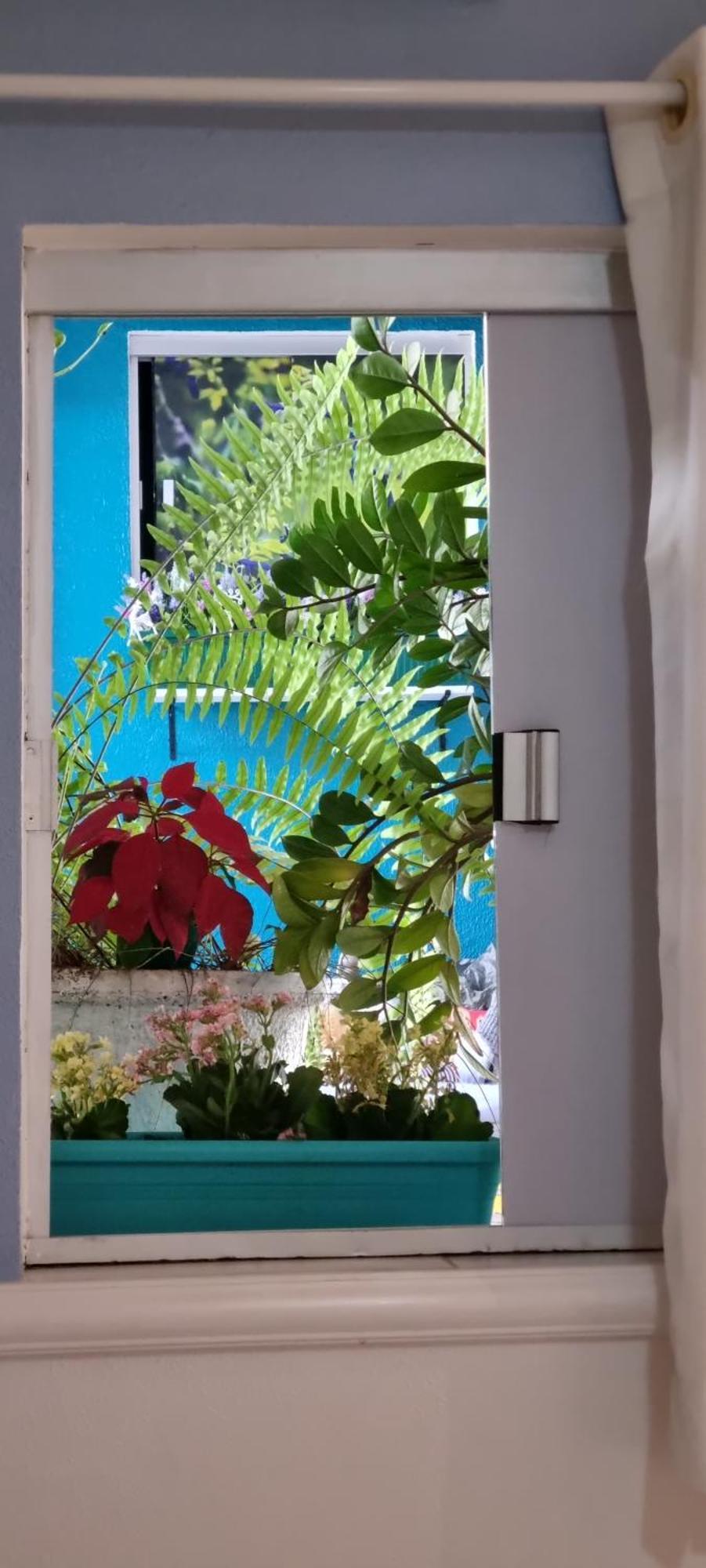 Pousada Recanto Da Familia Natal Dış mekan fotoğraf